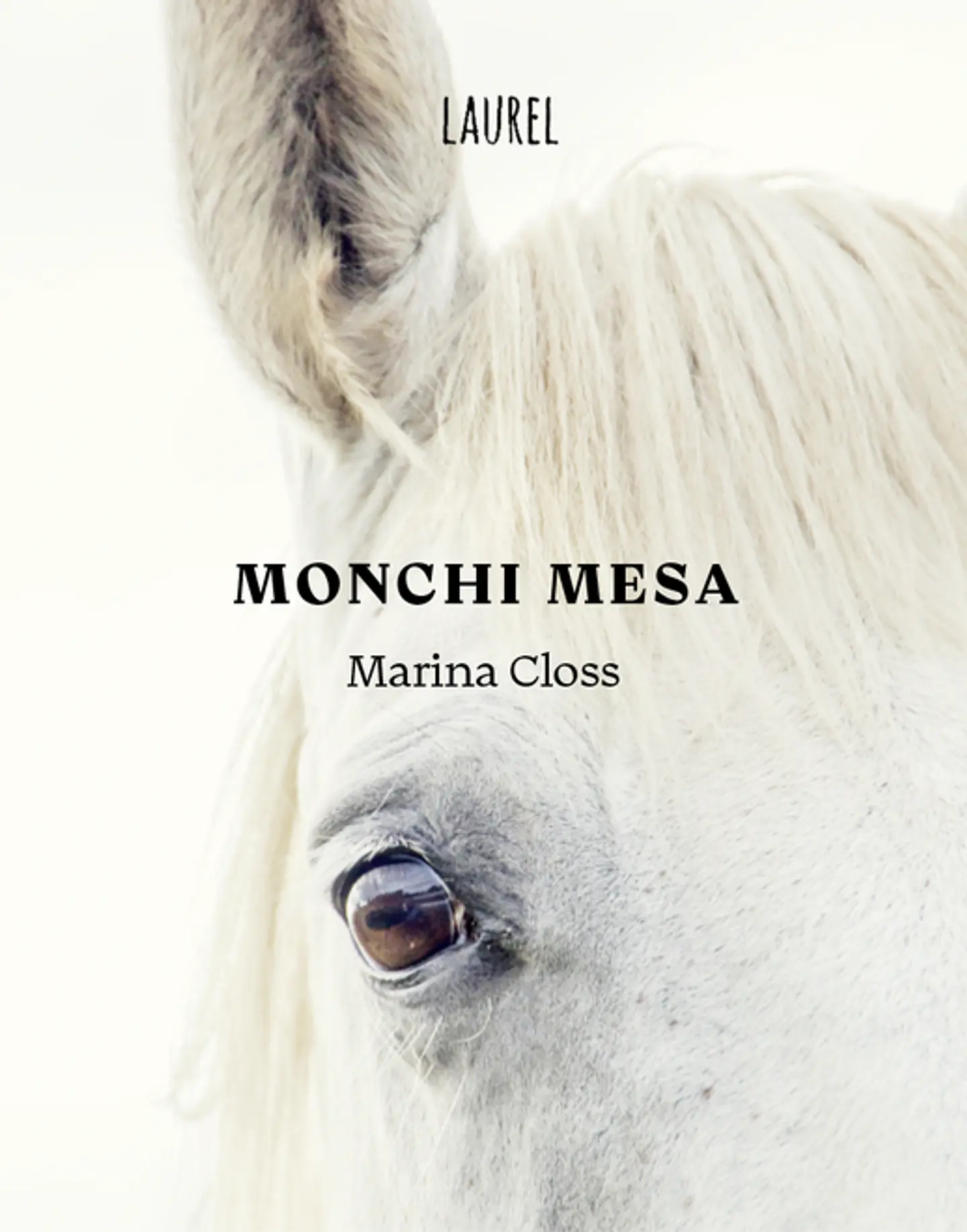 MONCHI MESA 1