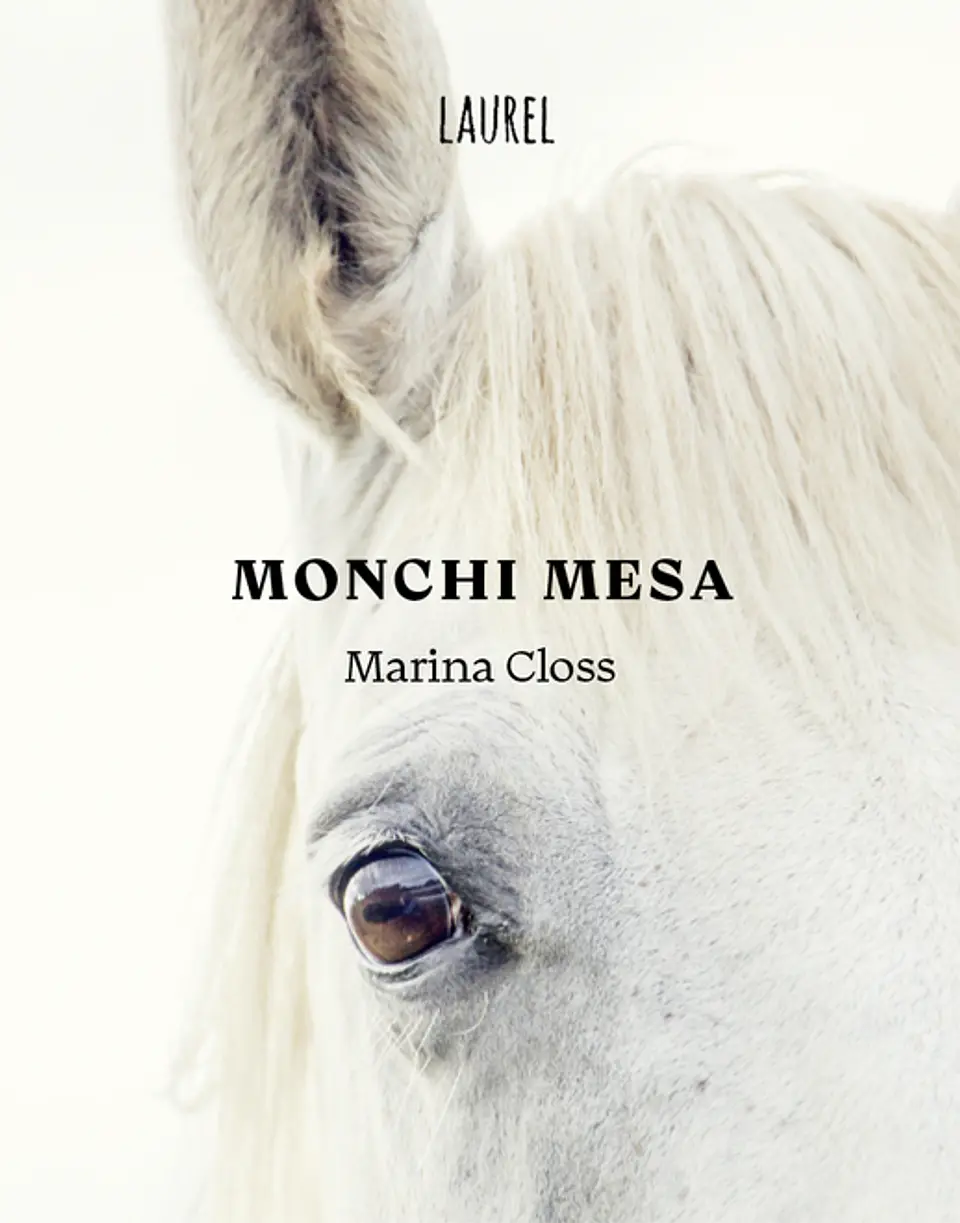 MONCHI MESA 1