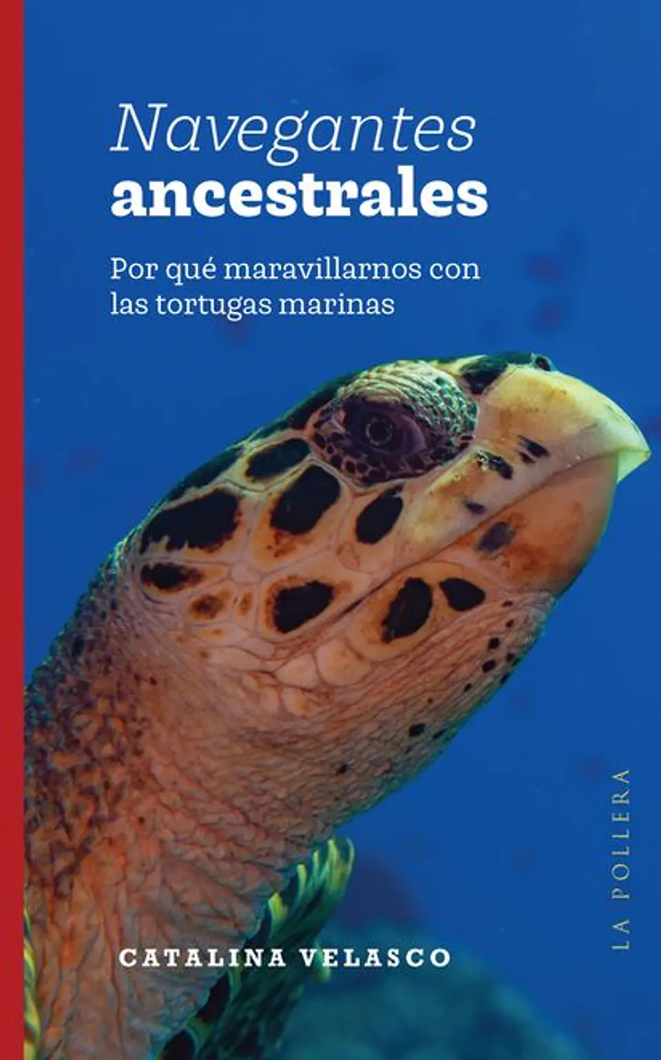 NAVEGANTES ANCESTRALES 1