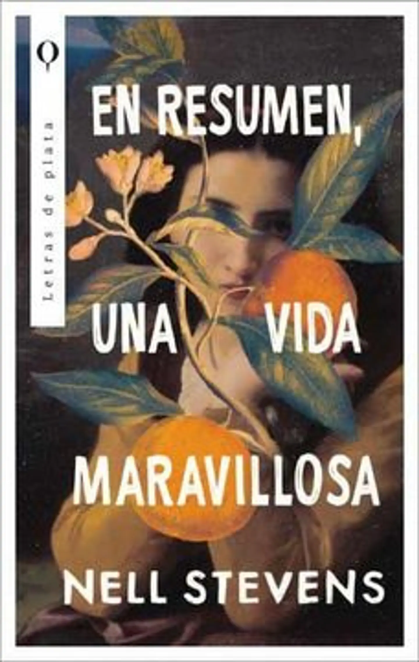 EN RESUMEN UNA VIDA MARAVILLOSA 1