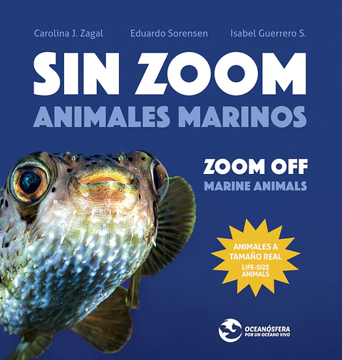 SIN ZOOM ANIMALES MARINOS