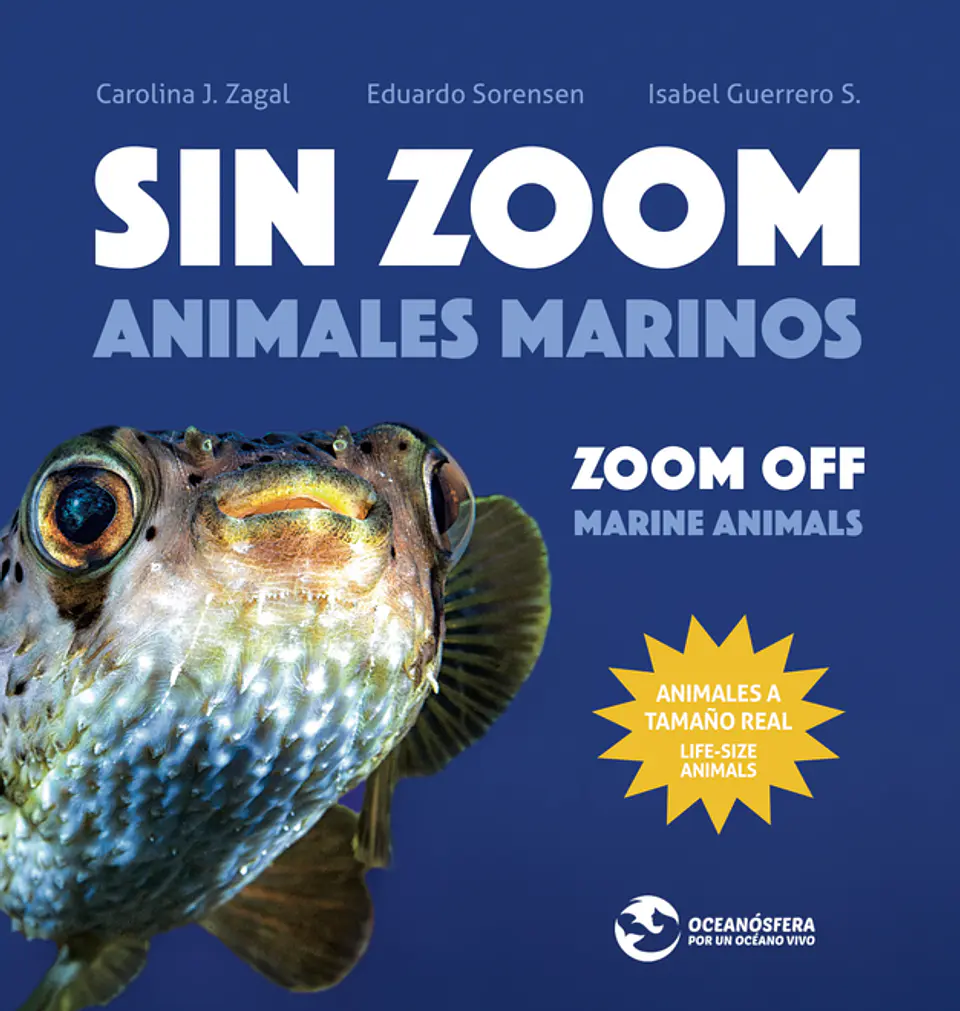 SIN ZOOM ANIMALES MARINOS 1