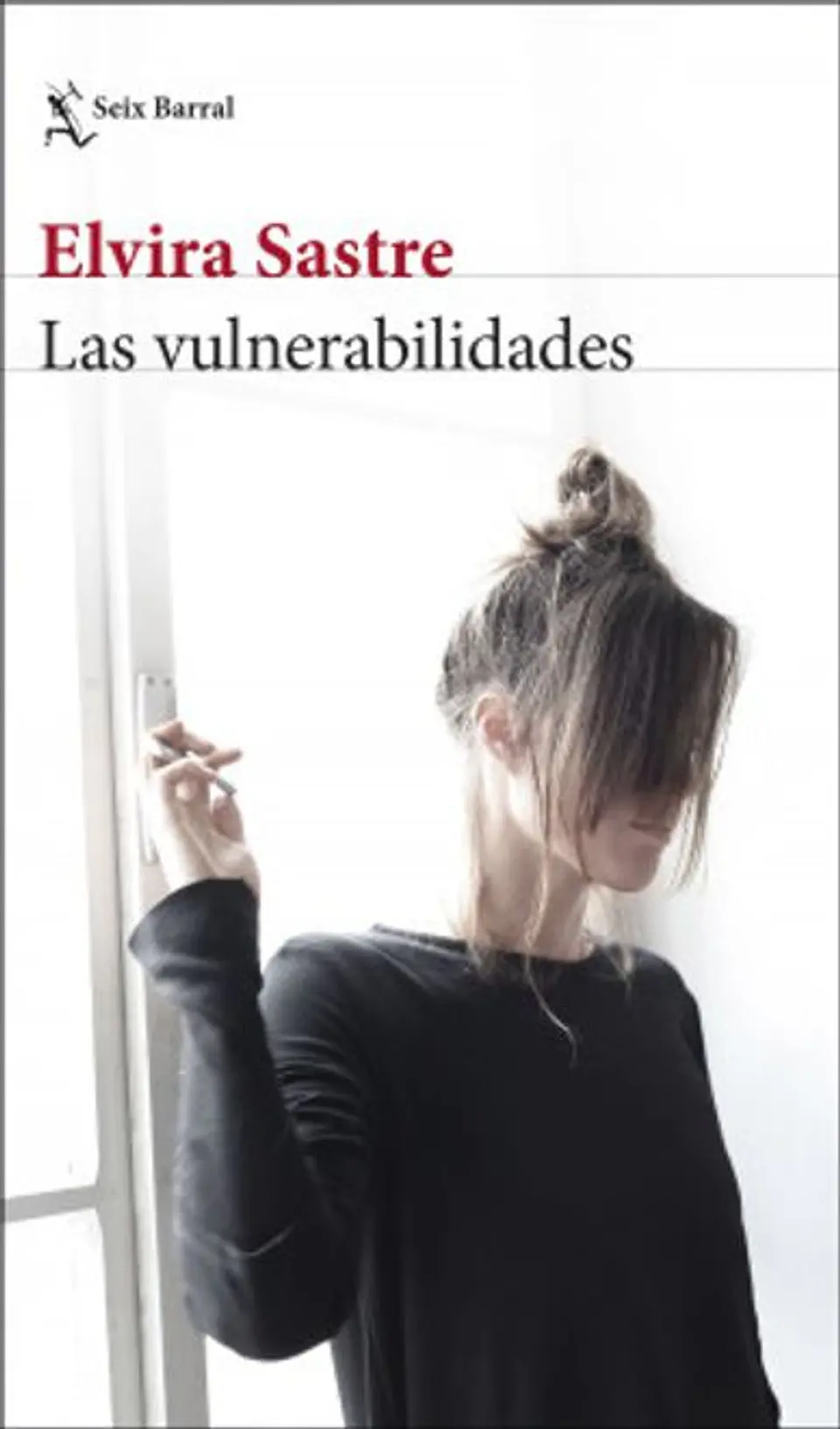 LAS VULNERABILIDADES 1