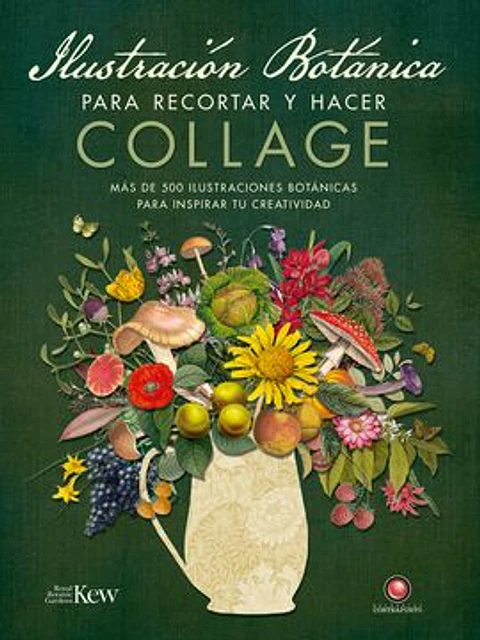 ILUSTRACION BOTANICA PARA RECORTAR Y HACER COLLAGE