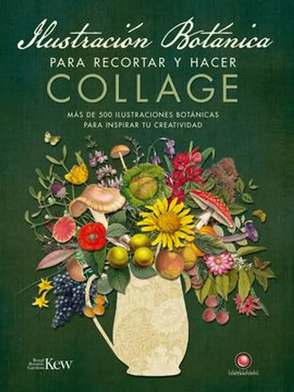 ILUSTRACION BOTANICA PARA RECORTAR Y HACER COLLAGE 1