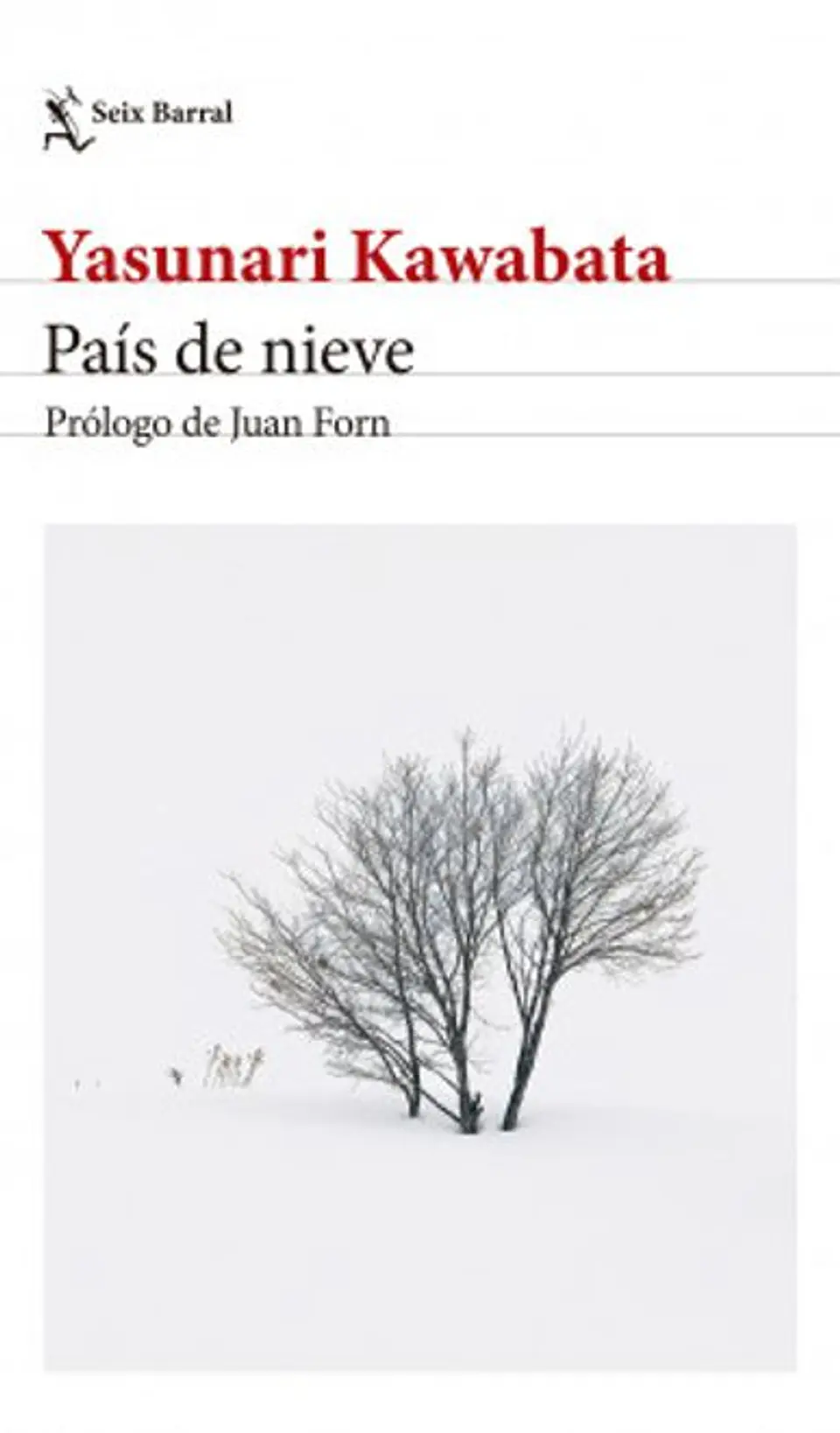 PAIS DE NIEVE 1