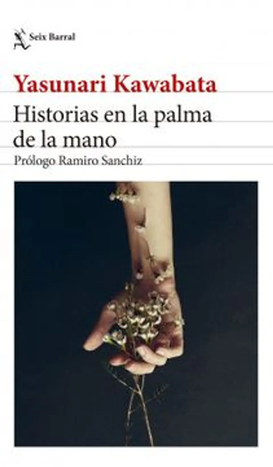 HISTORIA EN LA PALMA DE LA MANO 1