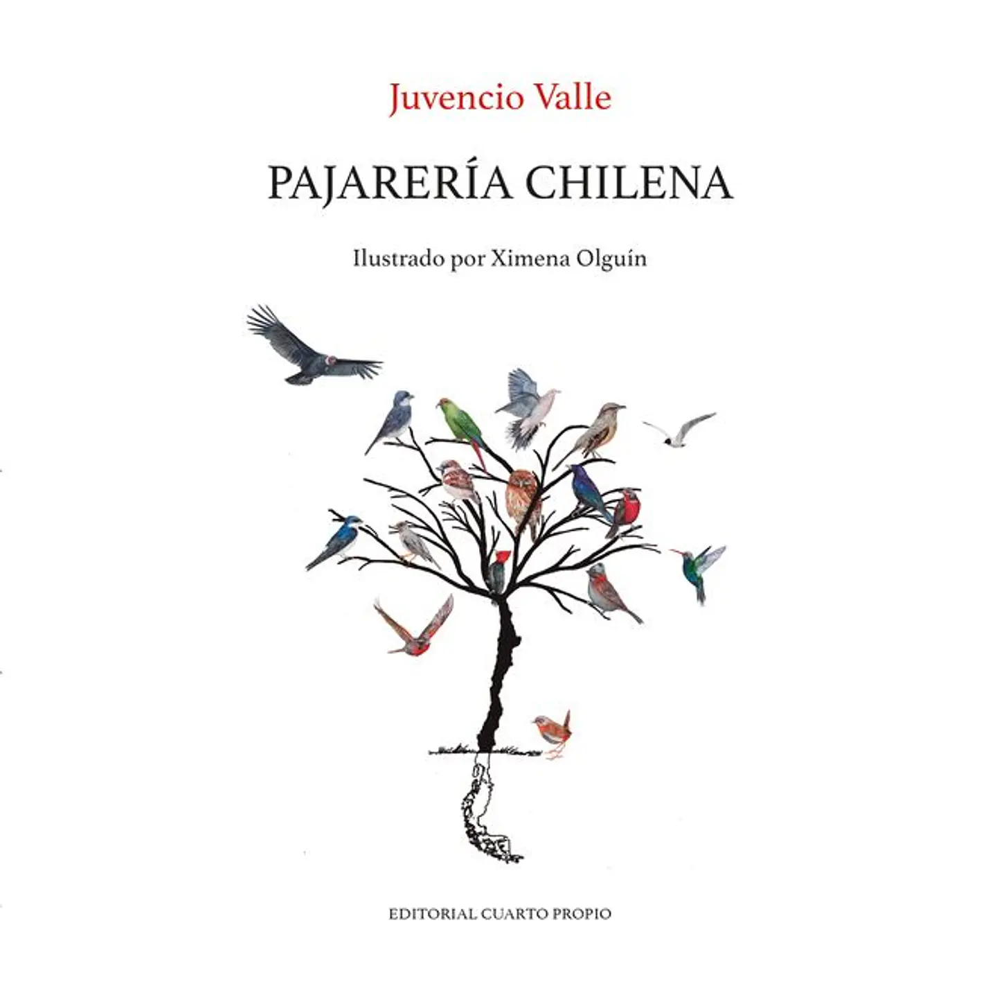 PAJARERIA CHILENA 1