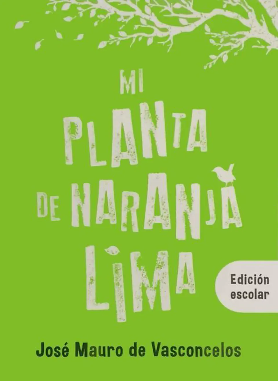 MI PLANTA DE NARANJA LIMA 1