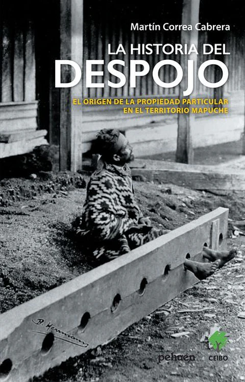 LA HISTORIA DEL DESPOJO