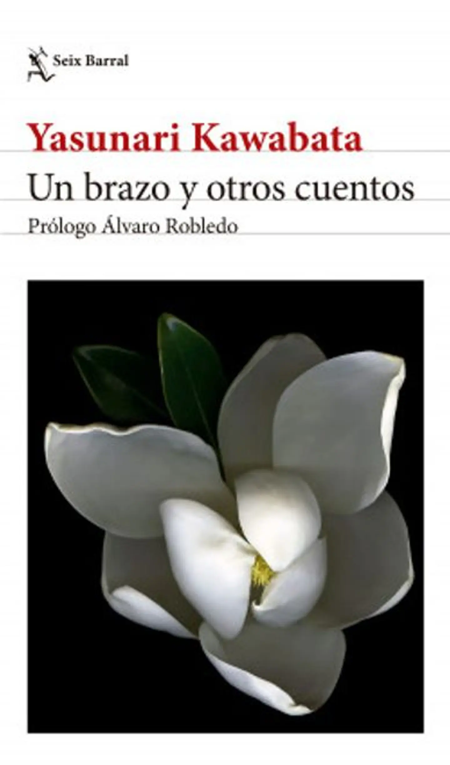 UN BRAZO Y OTROS CUENTOS 1