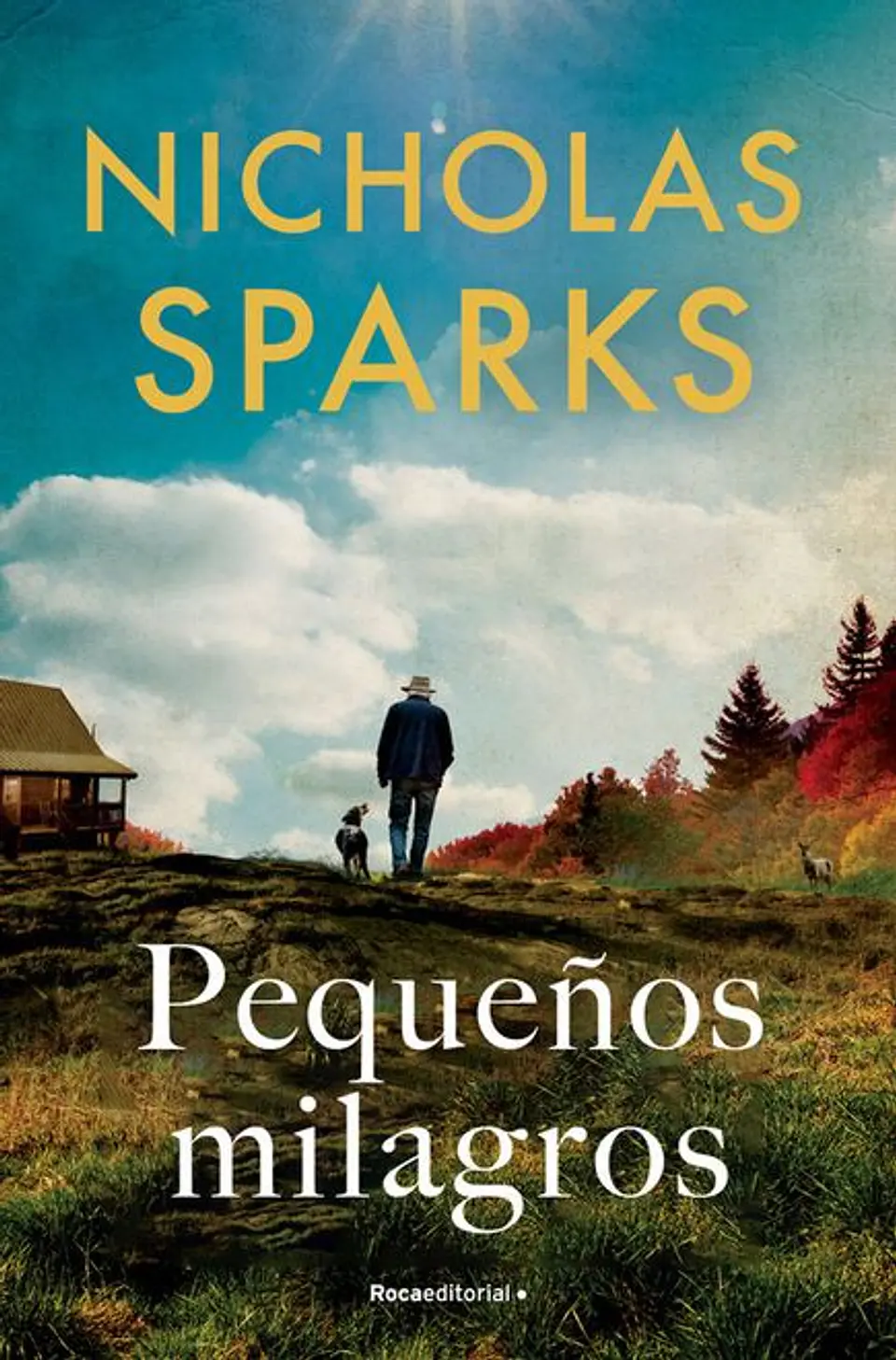 PEQUEÑOS MILAGROS 1