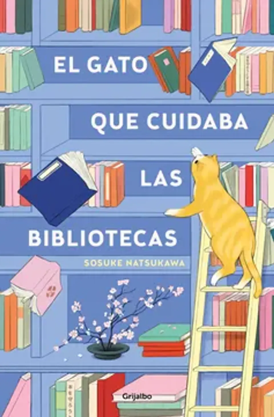 EL GATO QUE CUIDABA LAS BIBLIOTECAS 1