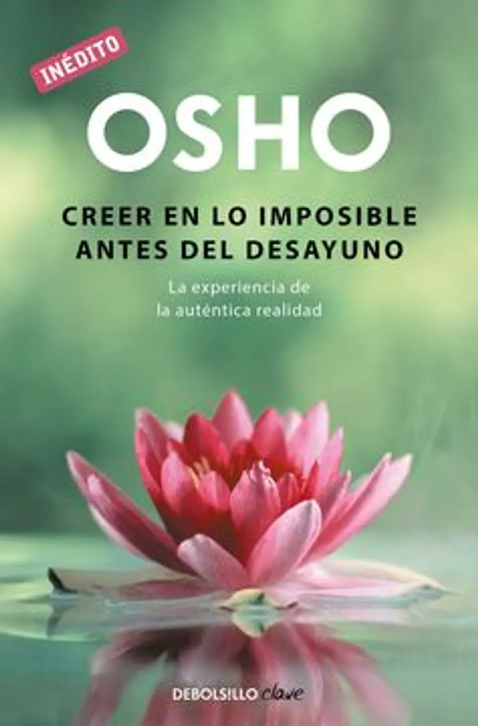 CREER EN LO IMPOSIBLE ANTES DEL DESAYUNO 1
