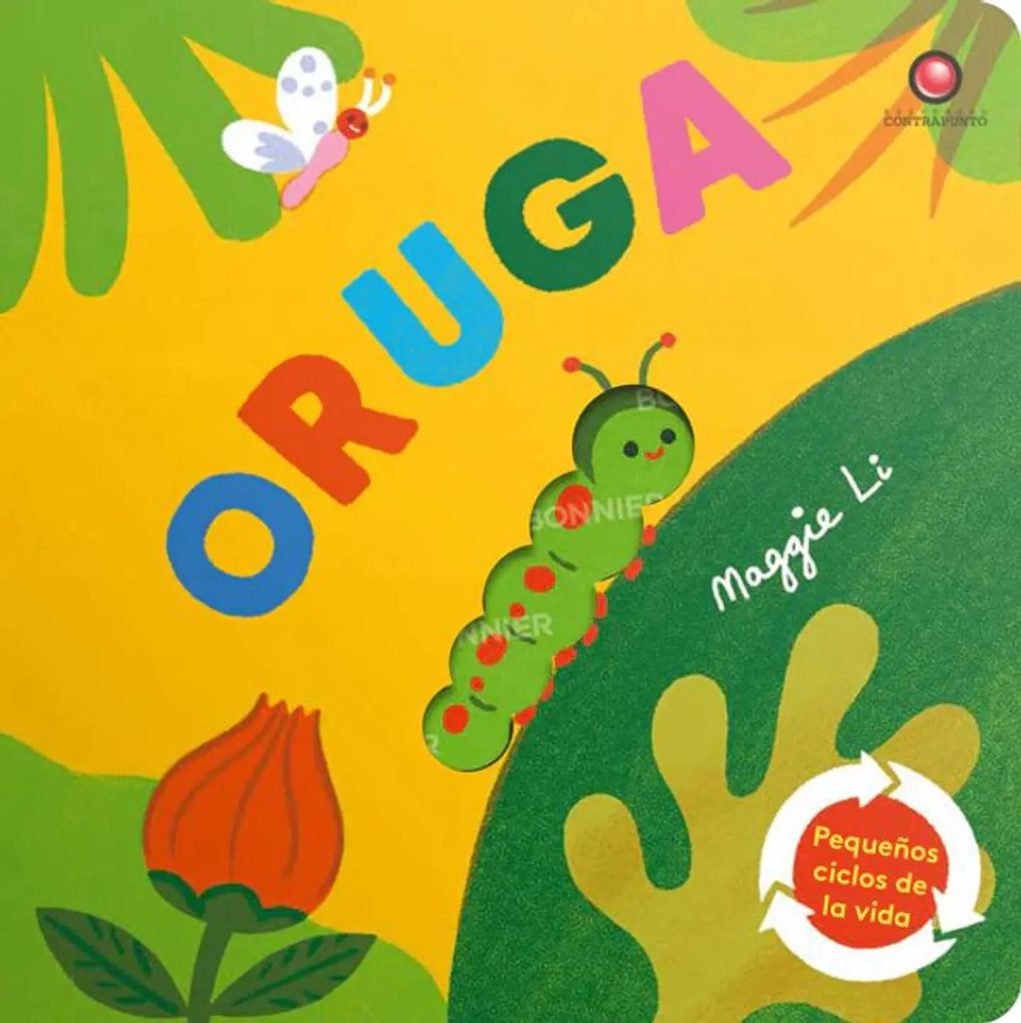 PEQUEÑOS CICLOS DE LA VIDA ORUGA 1