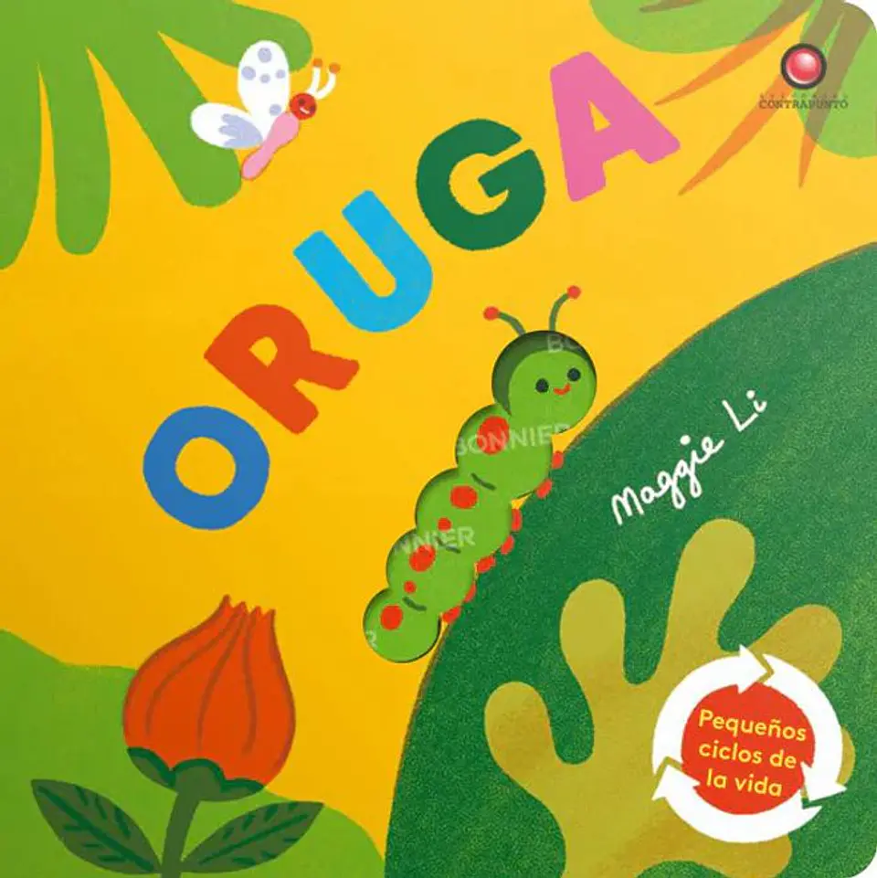 PEQUEÑOS CICLOS DE LA VIDA ORUGA 1