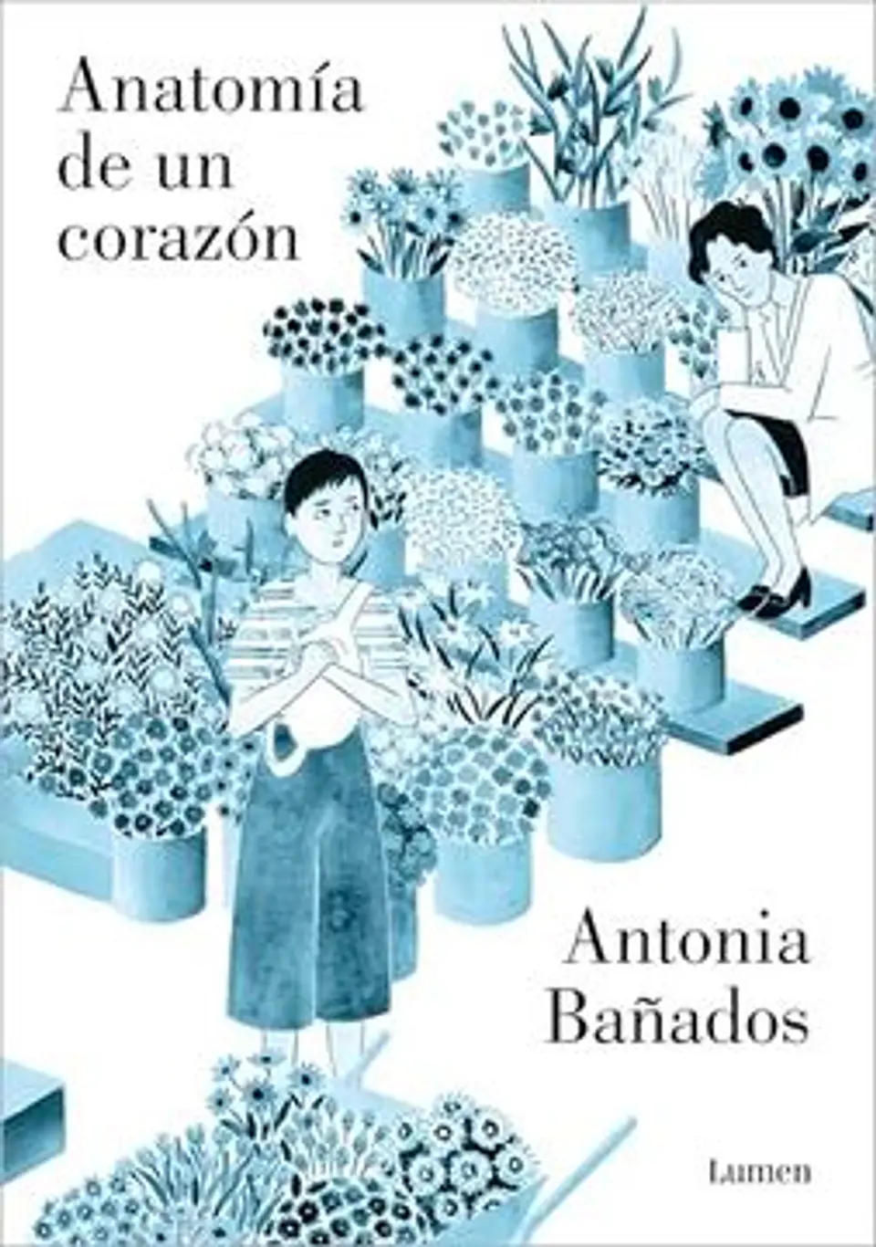 ANATOMIA DE UN CORAZON 1