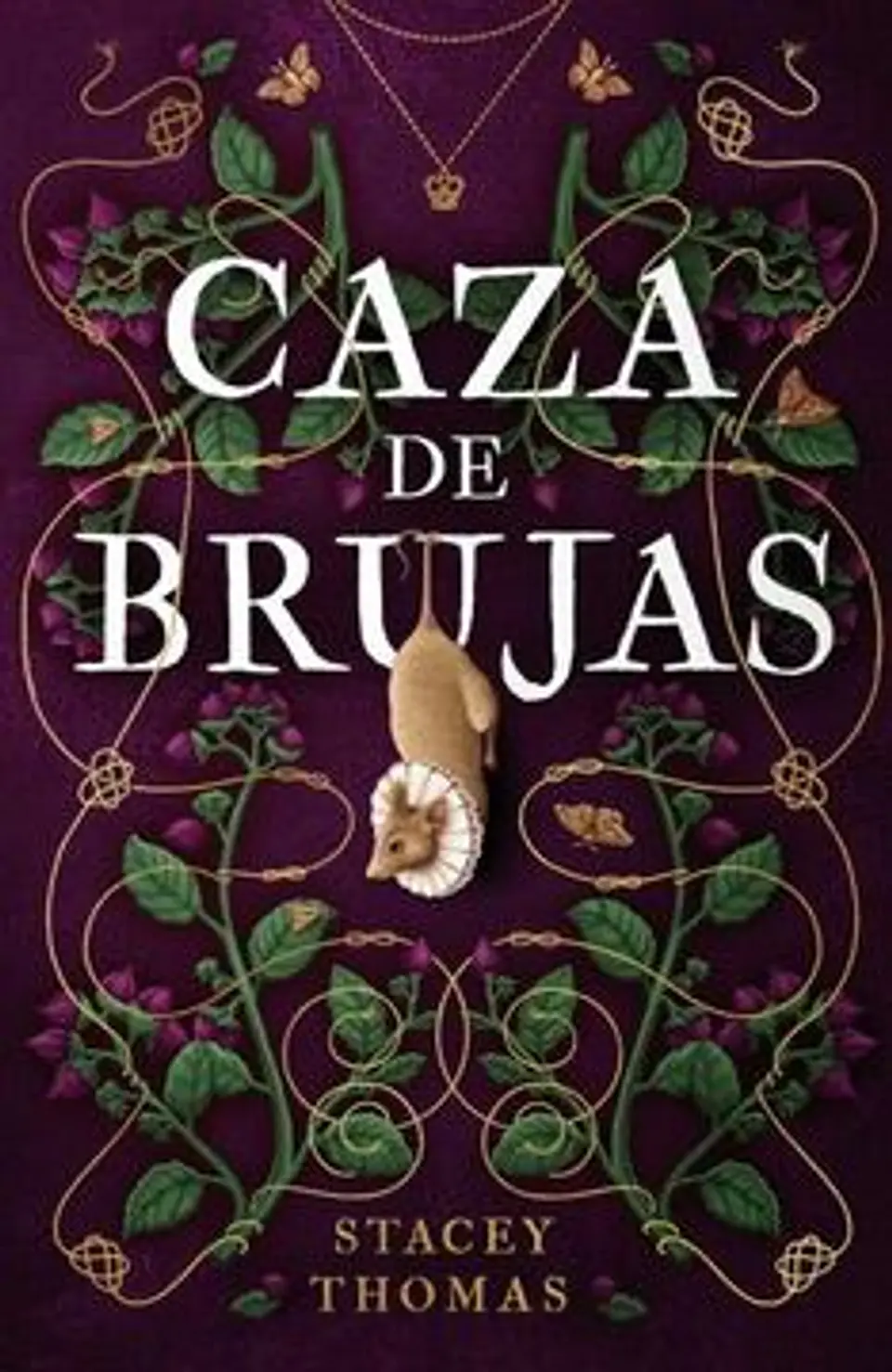 CAZA DE BRUJAS 1