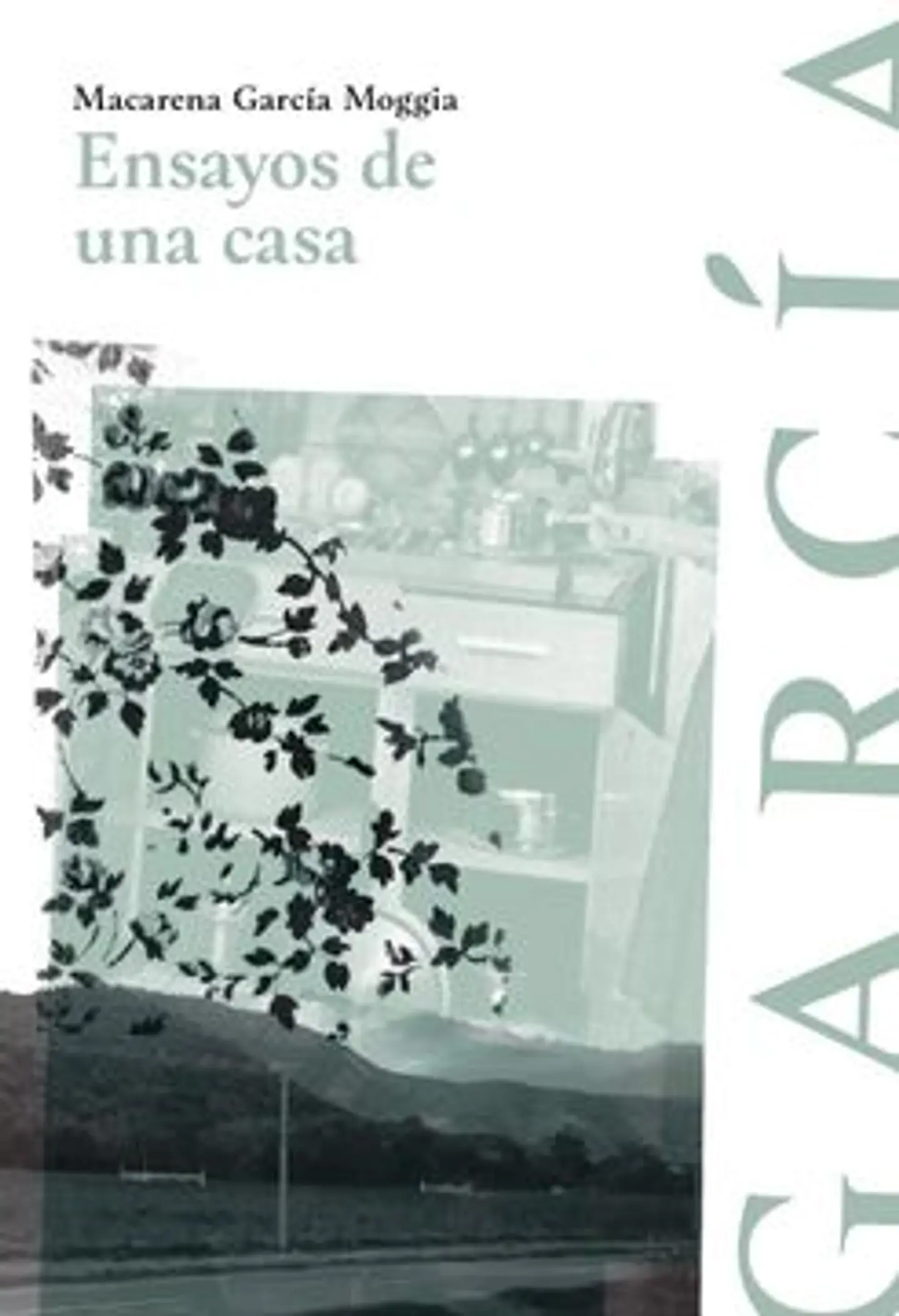 ENSAYO DE UNA CASA 1