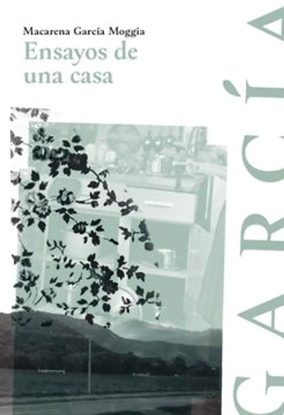 ENSAYO DE UNA CASA 1