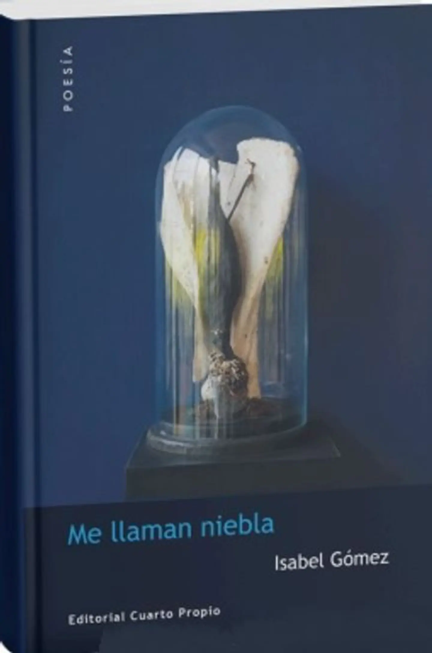 ME LLAMAN NIEBLA 1