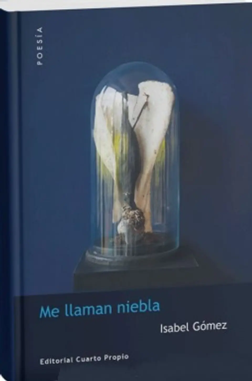ME LLAMAN NIEBLA 1