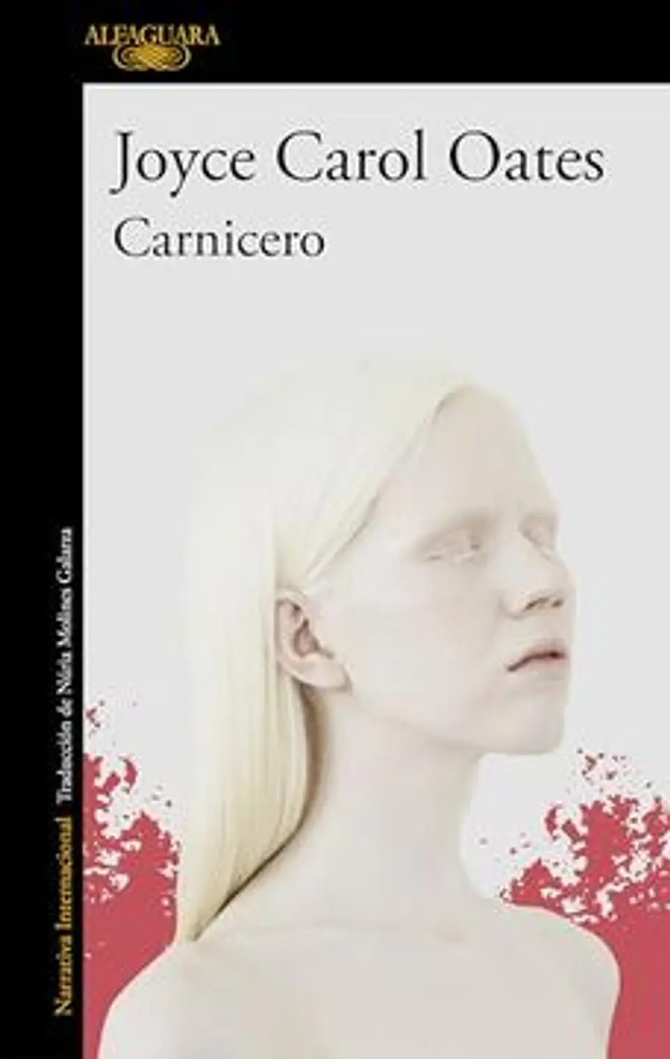 CARNICERO 1