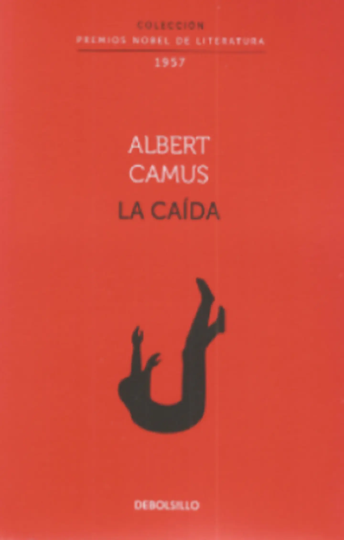 LA CAIDA 1
