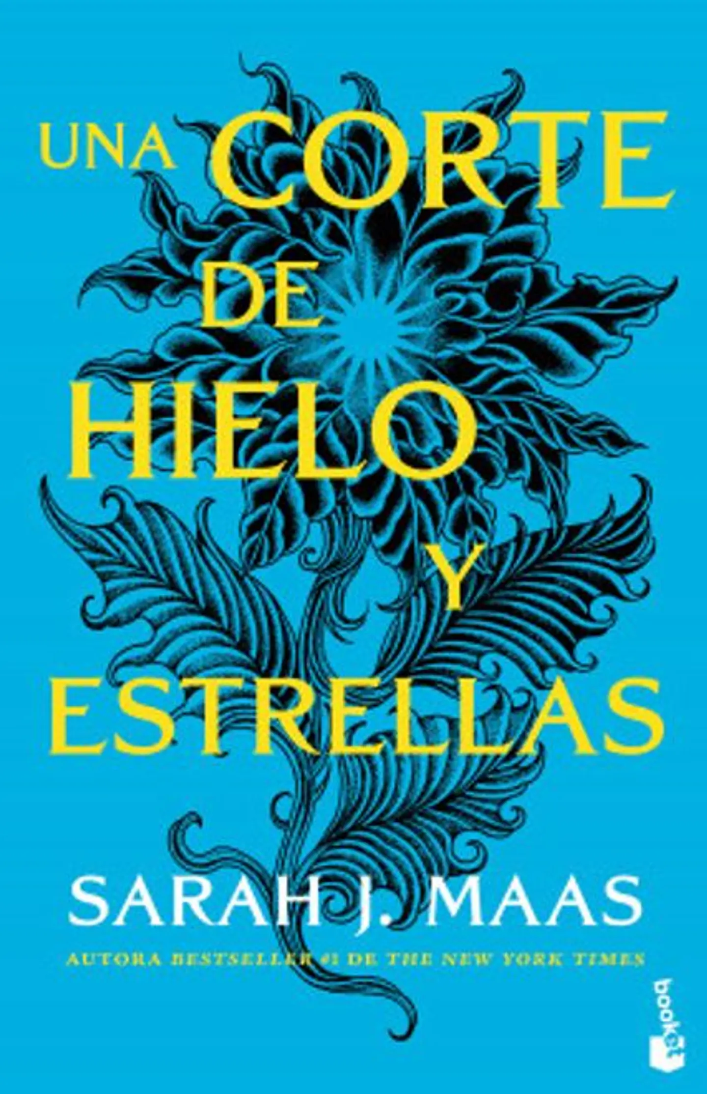 UNA CORTE DE HIELO Y ESTRELLAS ACOTAR 4 1