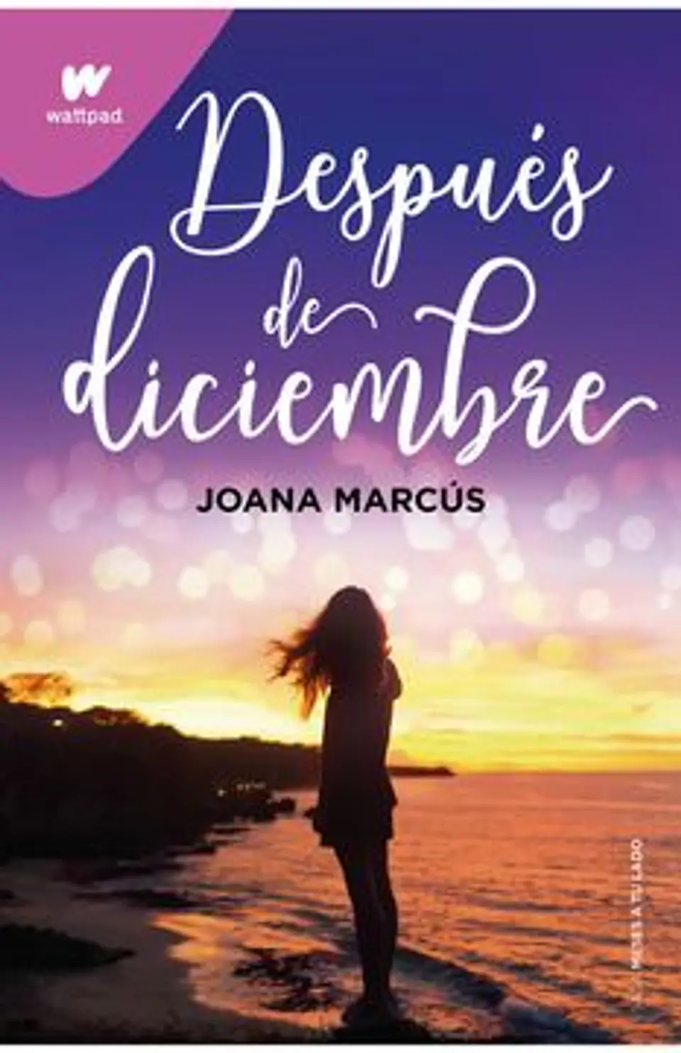 DESPUES DE DICIEMBRE 1