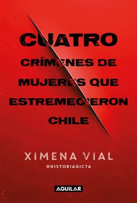 CUATRO CRIMENES DE MUJERES QUE ESTREMECIERON CHILE