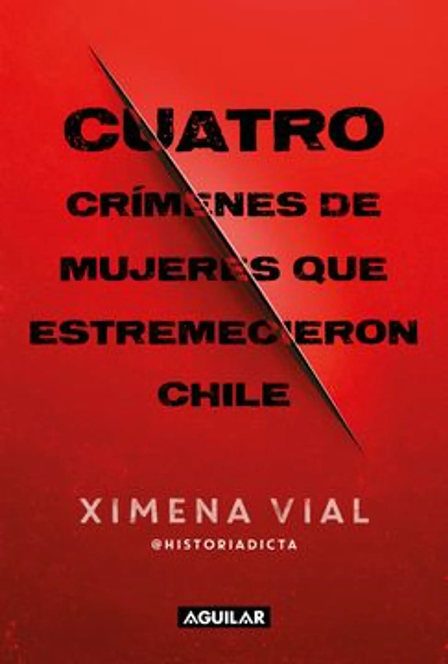 CUATRO CRIMENES DE MUJERES QUE ESTREMECIERON CHILE 1