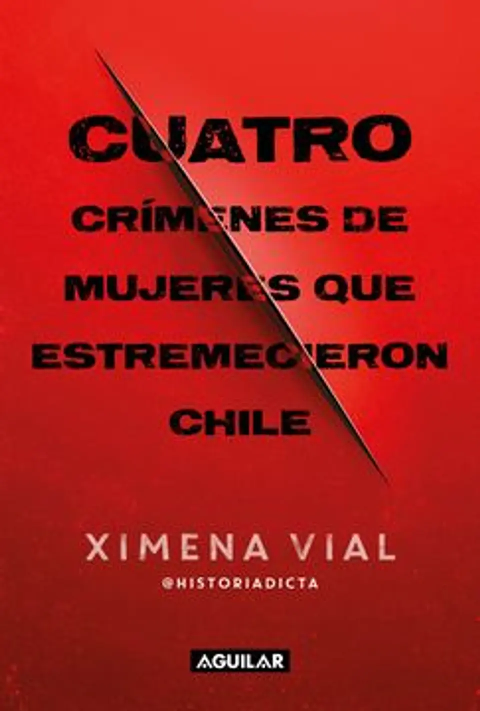 CUATRO CRIMENES DE MUJERES QUE ESTREMECIERON CHILE 1
