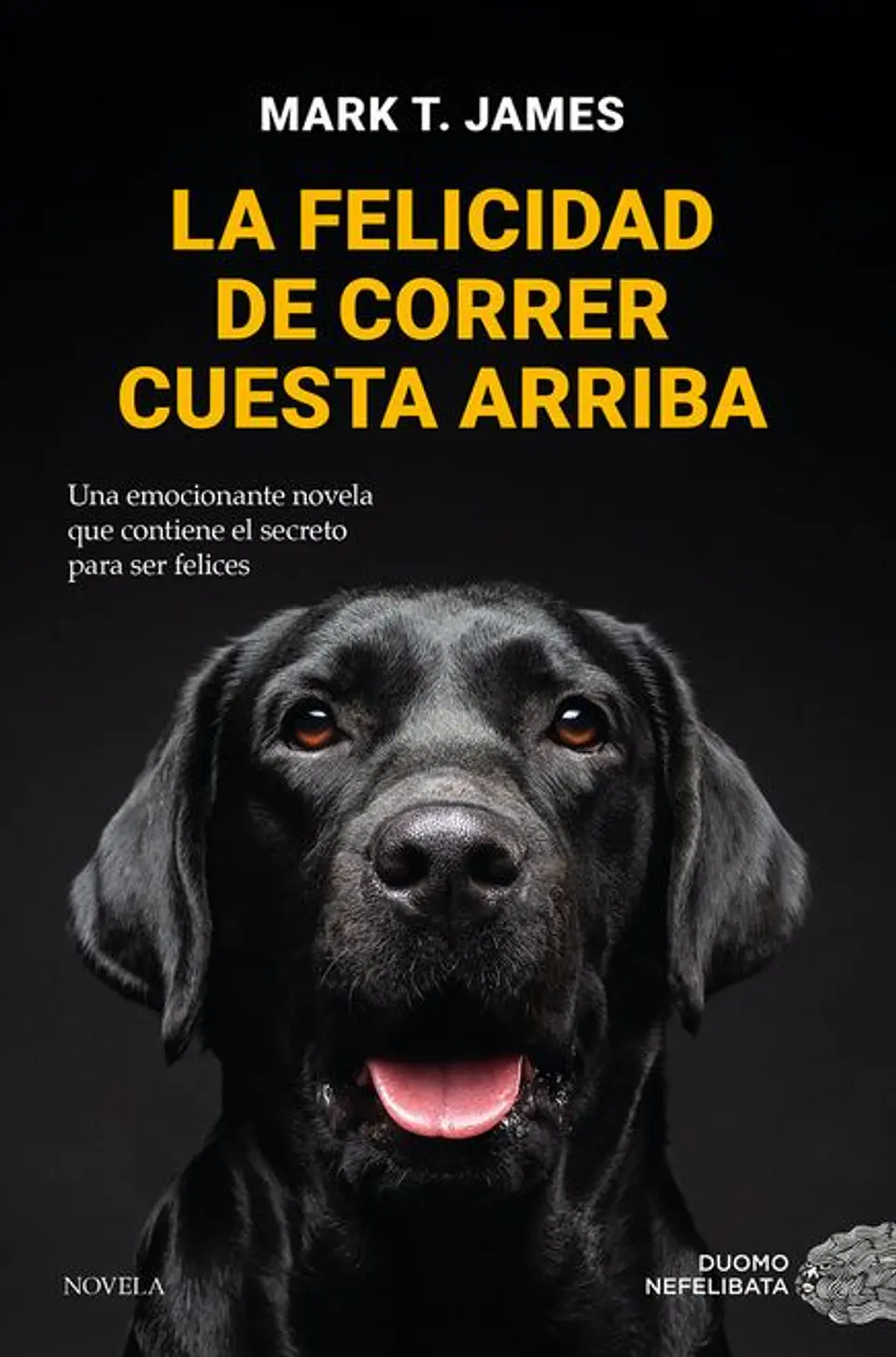 LA FELICIDAD DE CORRER CUESTA ARRIBA 1
