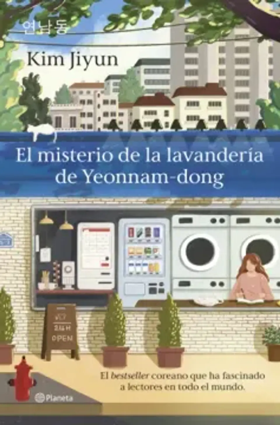 EL MISTERIO DE LA LAVANDERIA DE YEONNAMDONG 1