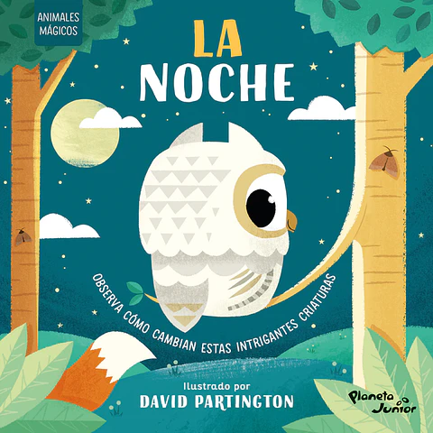 LA NOCHE