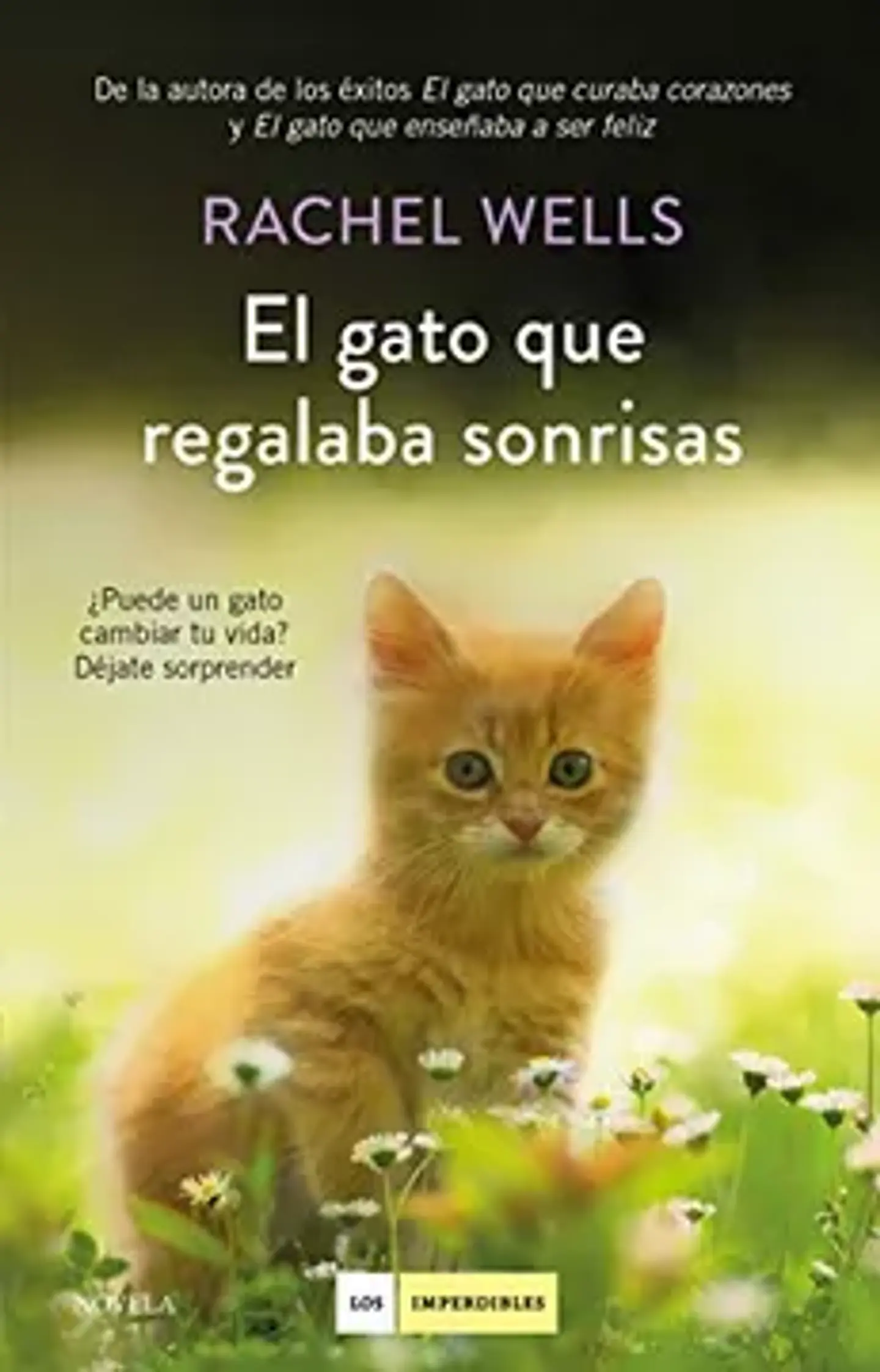 EL GATO QUE REGALABA SONRISAS 1
