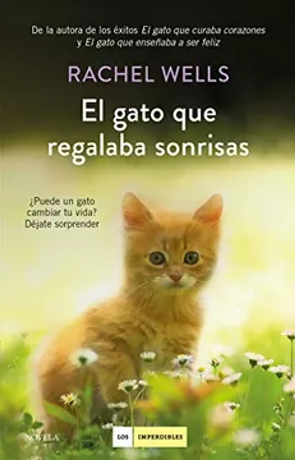 EL GATO QUE REGALABA SONRISAS 1