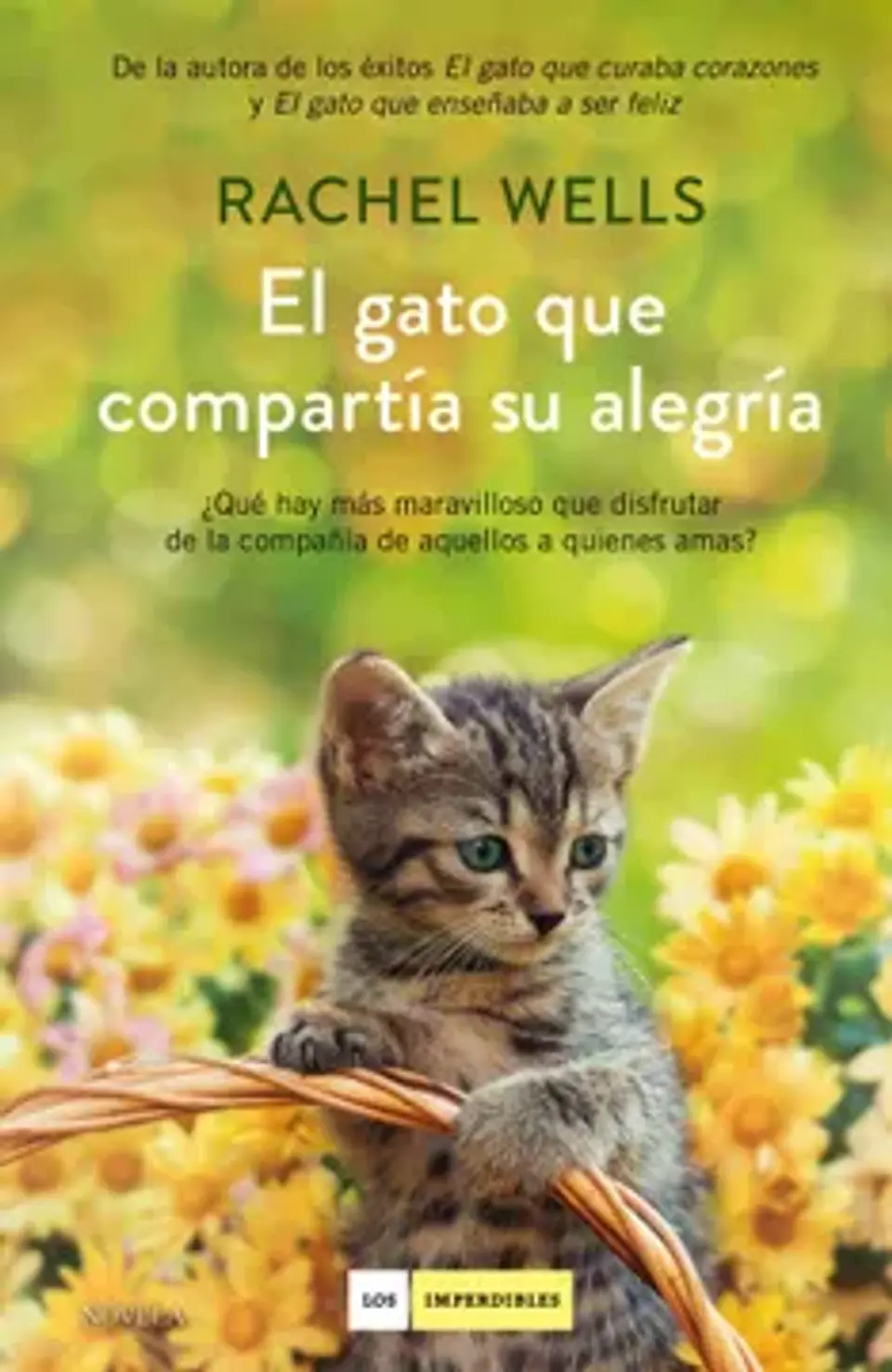 EL GATO QUE COMPARTIA SU ALEGRIA 1