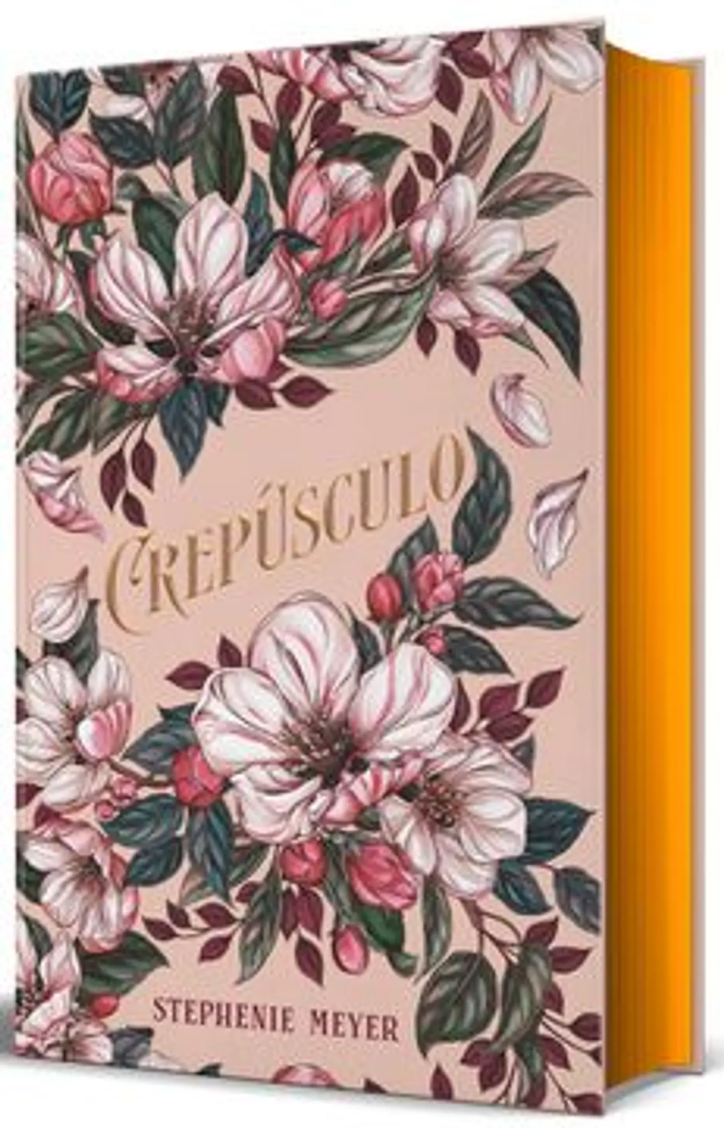 CREPUSCULO (ED LIMITADA) 1
