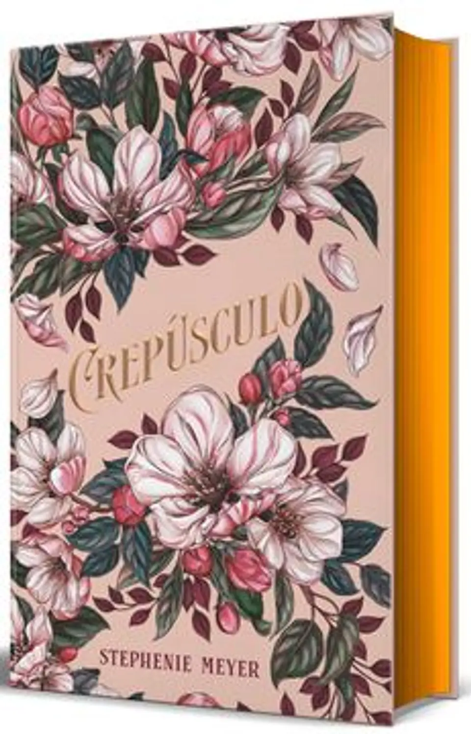 CREPUSCULO (ED LIMITADA) 1