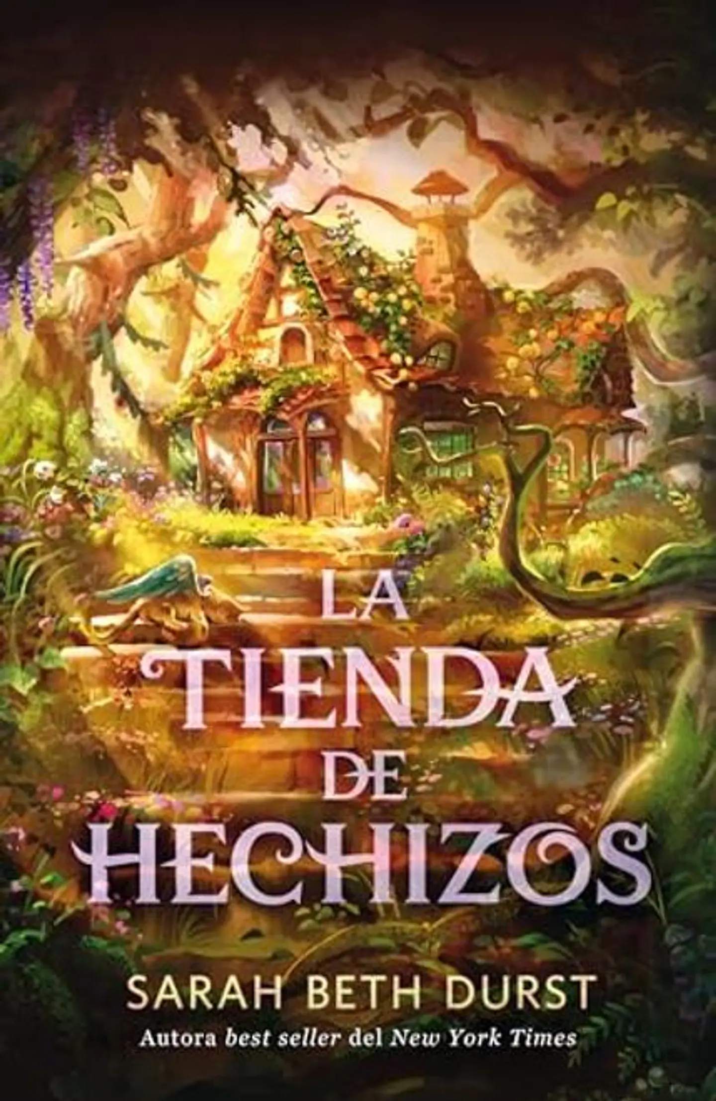 LA TIENDA DE HECHIZOS 1
