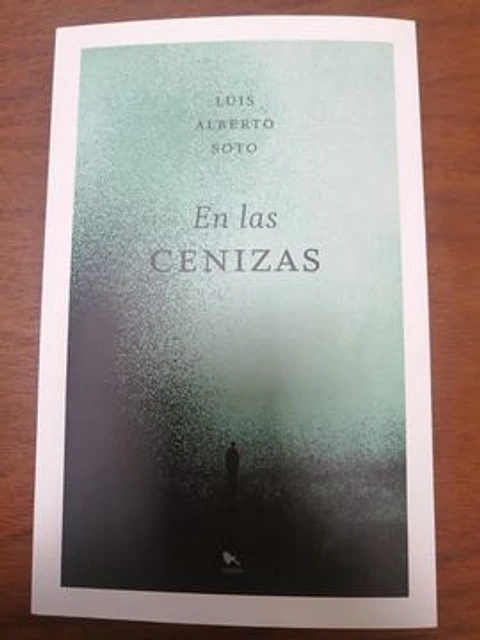 EN LAS CENIZAS