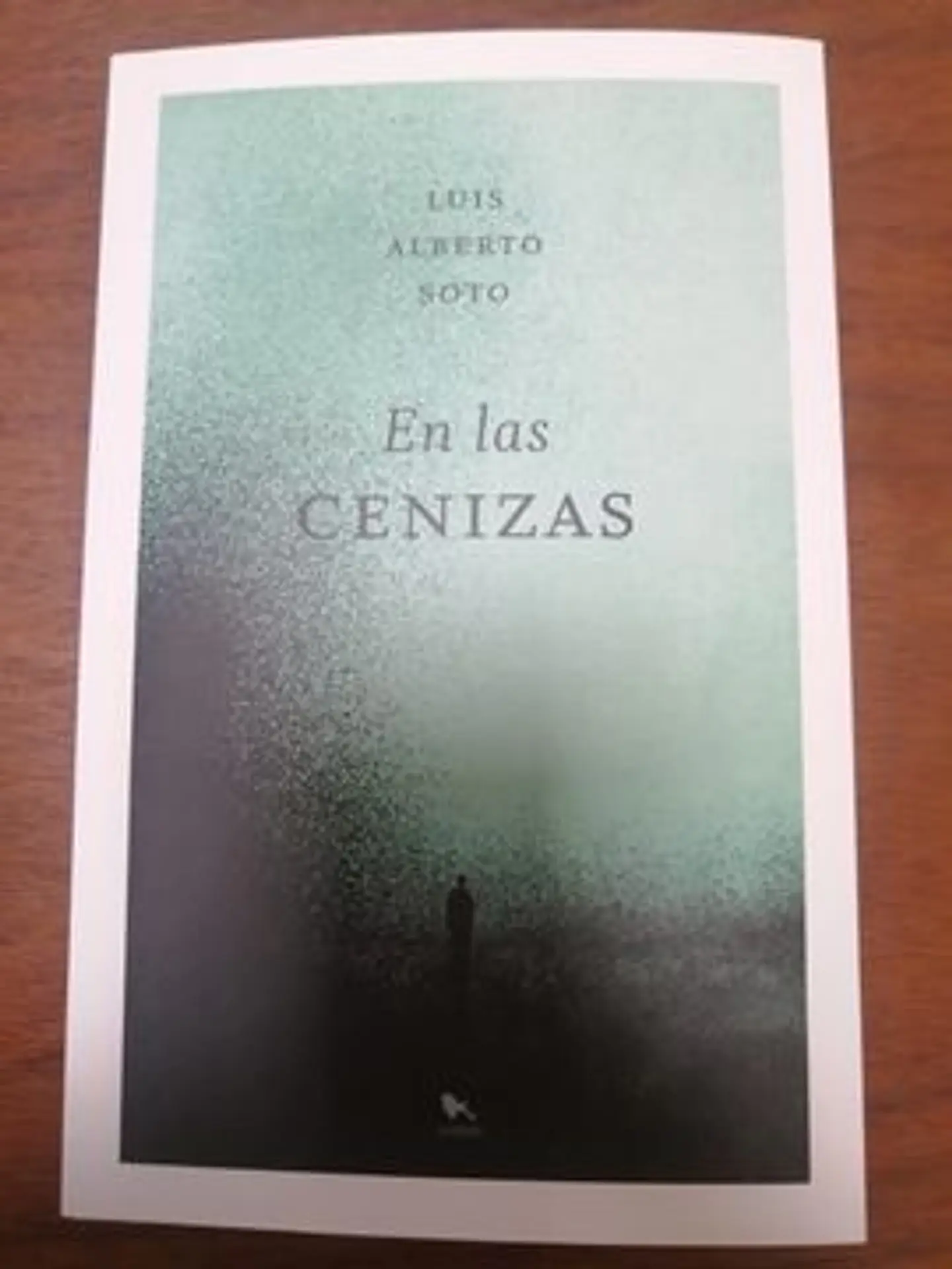 EN LAS CENIZAS 1