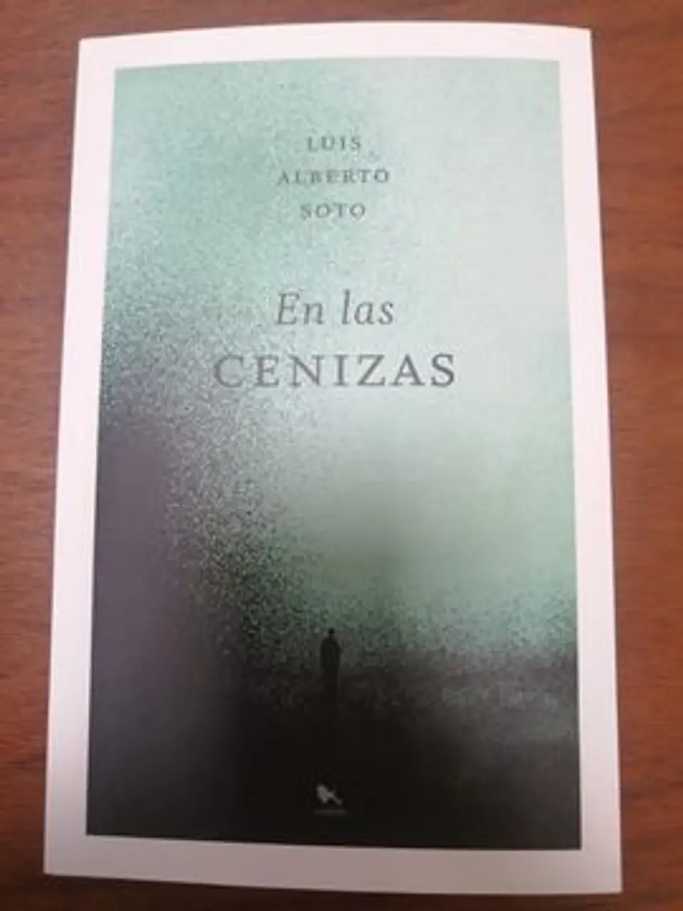 EN LAS CENIZAS 1