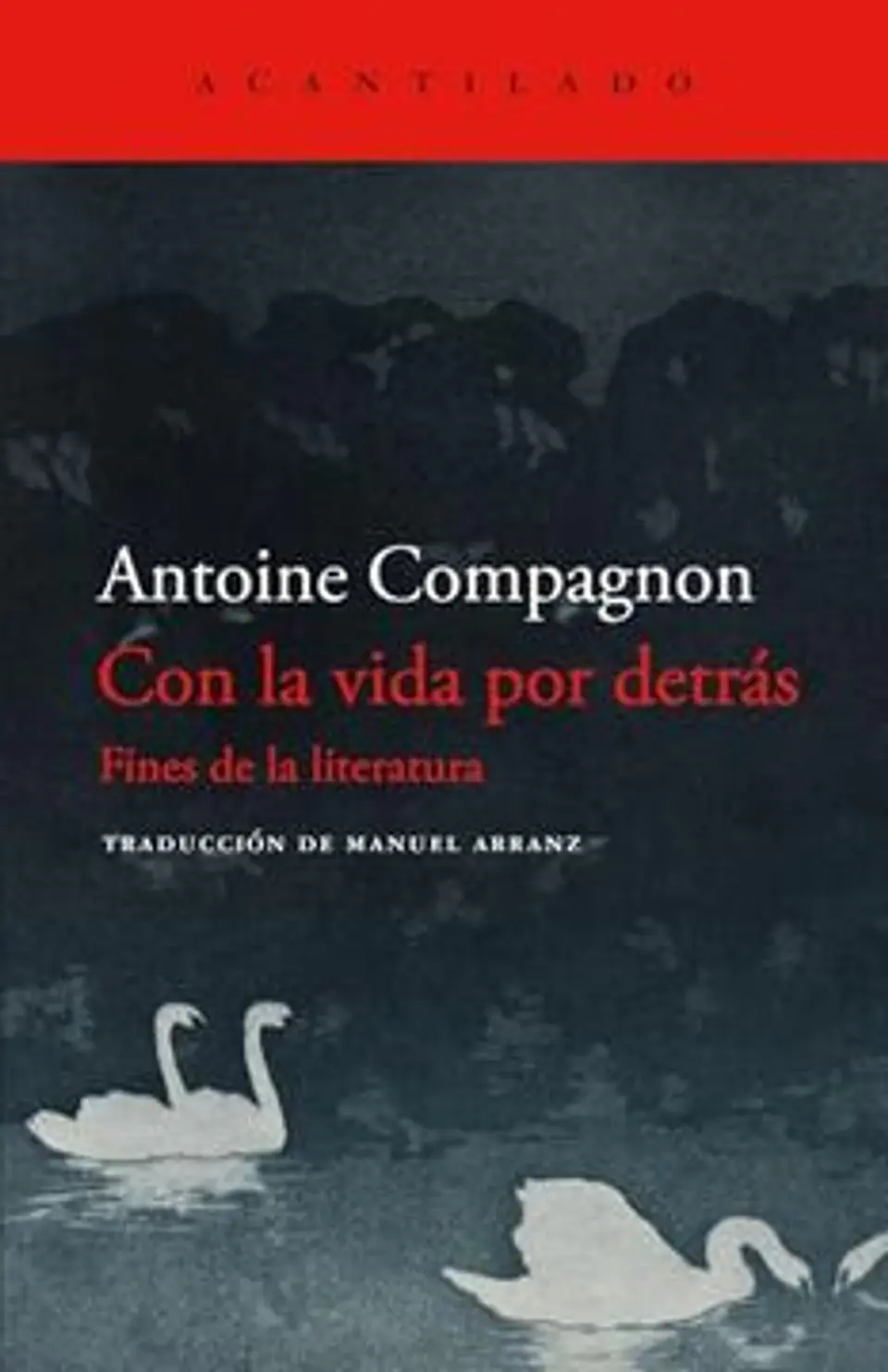 CON LA VIDA POR DETRAS FINES DE LA LITERATURA 1