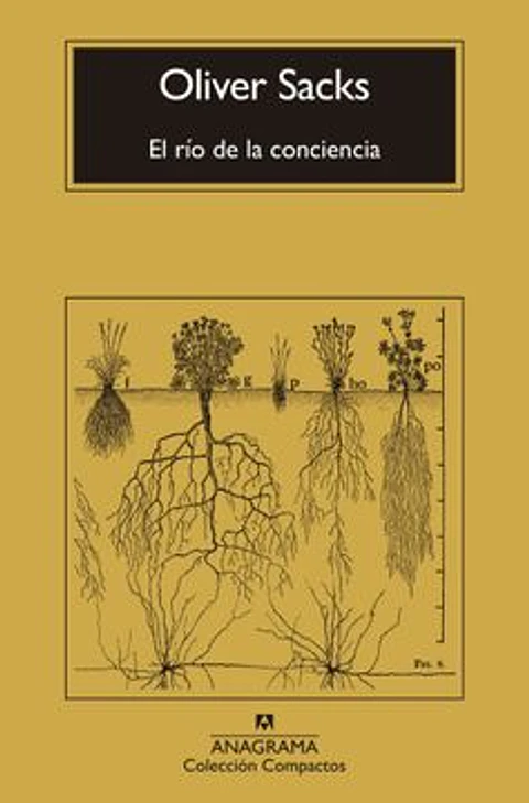 EL RIO DE LA CONCIENCIA