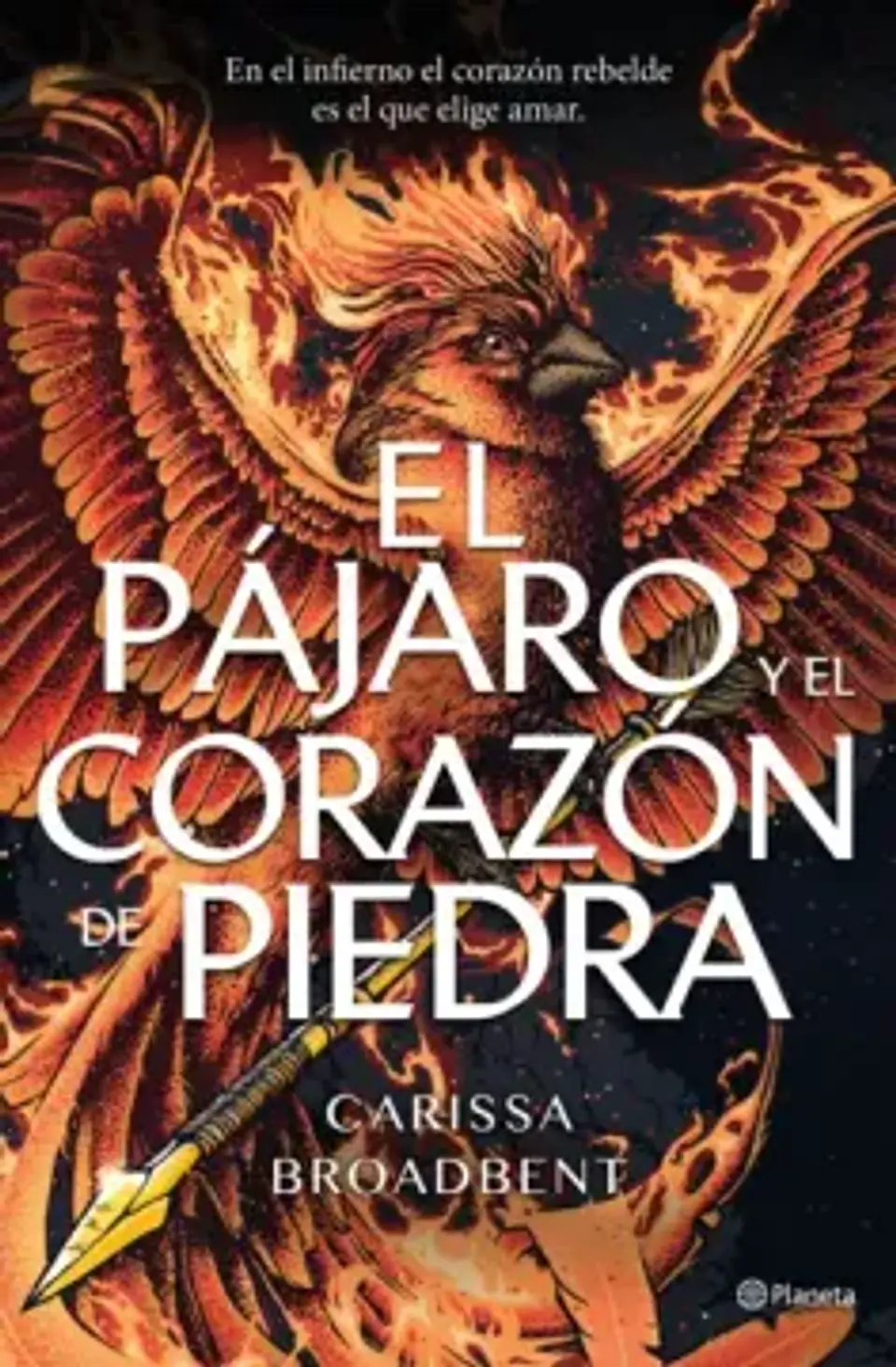 EL PAJARO Y EL CORAZON DE PIEDRA 1