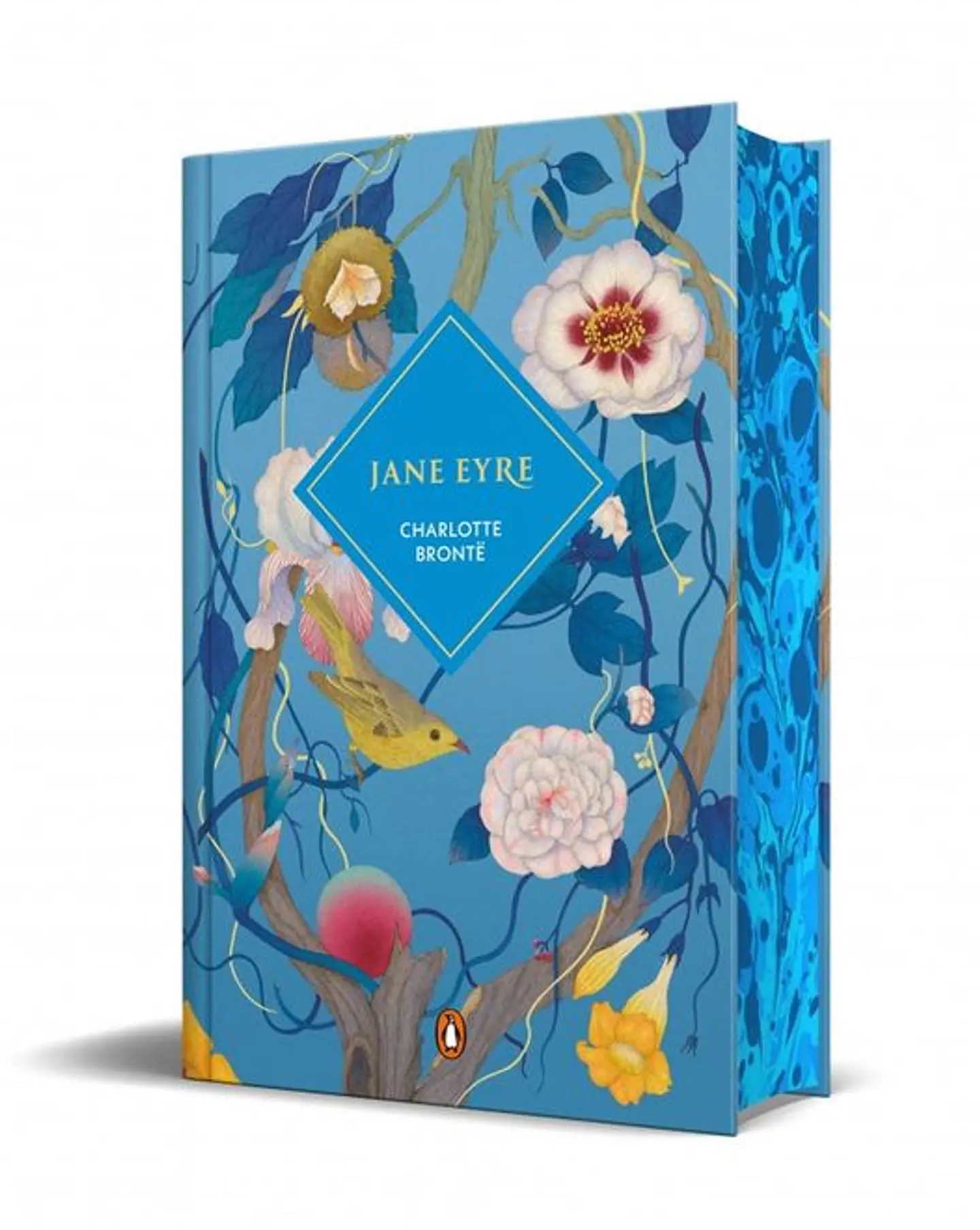 JANE EYRE ED LIMITADA 1