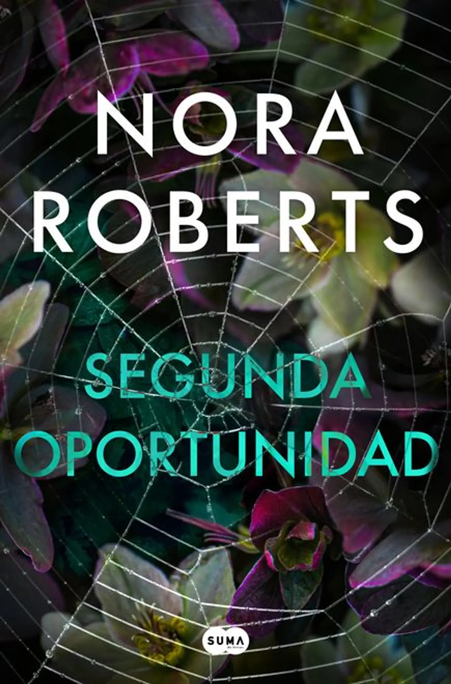 SEGUNDA OPORTUNIDADES 1